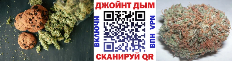 Cannafood конопля  Шатура 