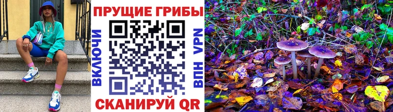 кракен сайт  Шатура  Галлюциногенные грибы ЛСД 