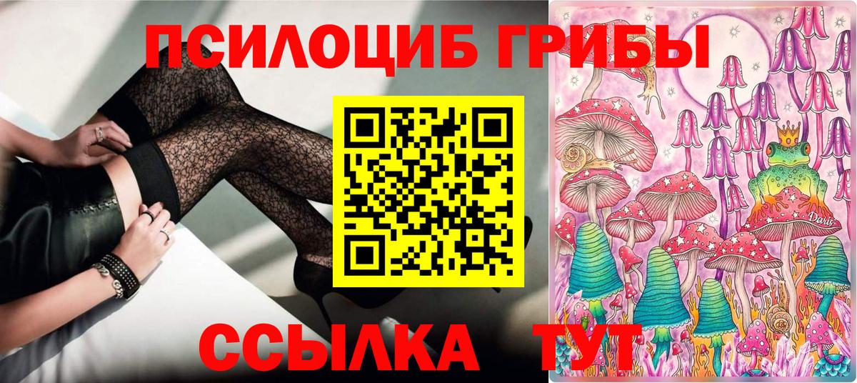 Галлюциногенные грибы Psilocybe Шатура