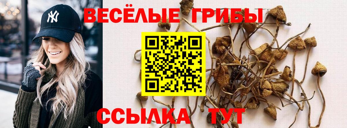 Галлюциногенные грибы ЛСД Шатура