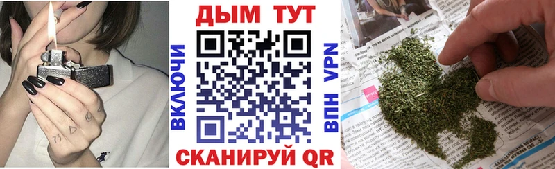 Марихуана THC 21%  где можно купить наркотик  Шатура 